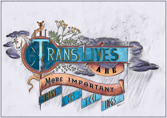 Trans Lives are more important than cis feelings